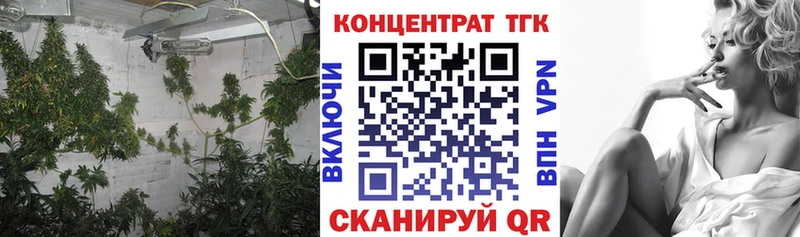 дарнет шоп  mega как войти  ТГК гашишное масло  Приморск 