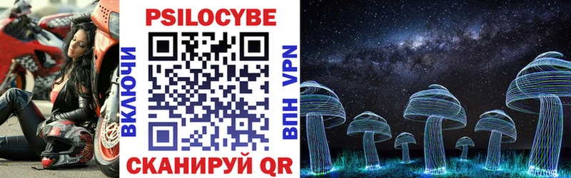 дарк нет телеграм  KRAKEN онион  Приморск  Галлюциногенные грибы Magic Shrooms 